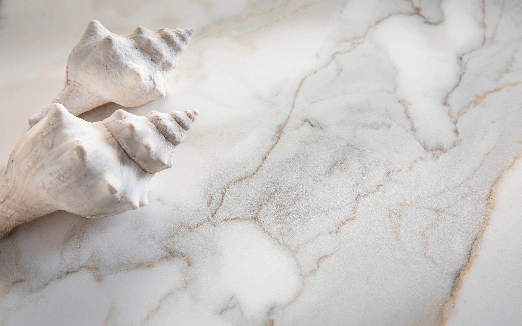 Still life image showcasing Laminam Calacatta Michelangelo Italian porcelain; white marble-inspired surface with subtle grey veining highlighting its refined elegance.